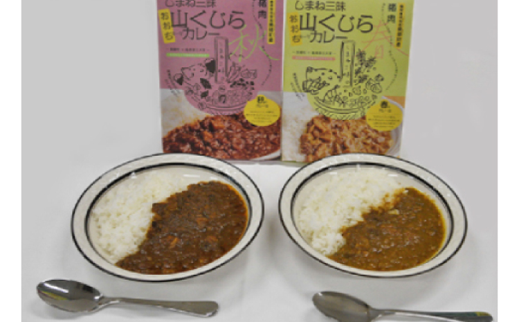 みさと産直 山くじらキーマカレーセット（松）