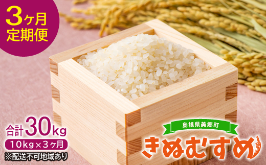 【定期便3ヶ月】美郷町産 きぬむすめ 10kg【定期便 3回定期 米 お米 精米 白米 ブランド米 きぬむすめ 5kg×2袋 10kg×3回 合計30kg 】
