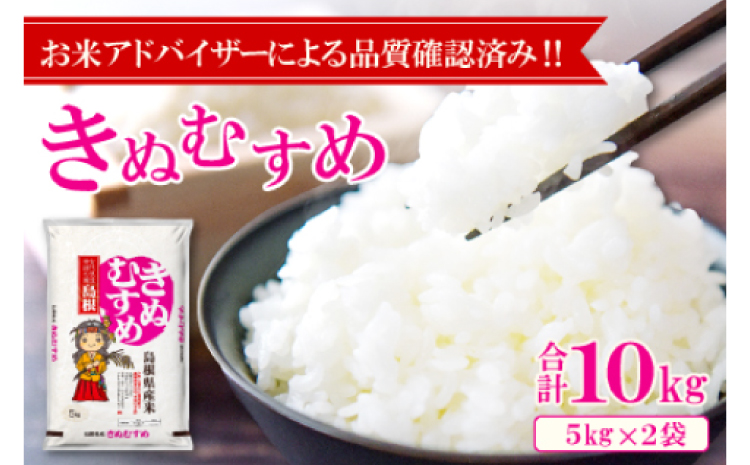 令和6年産 美郷きぬむすめ 10kg（5kg×2袋）【米 お米 精米 白米 ブランド米 きぬむすめ 10kg 5kg×2袋 2024年産】