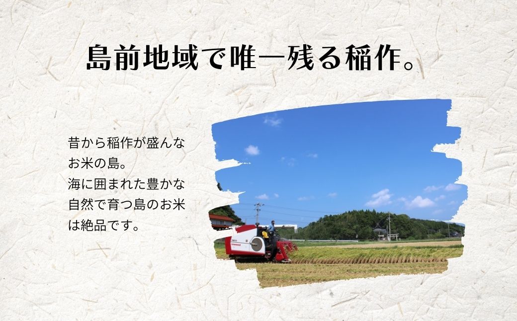 令和8年度産【定期便6ヵ月】計30kg!コシヒカリ5kg×6か月定期便 お米