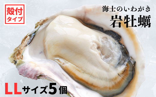 [海士のいわがき]海士町産 いわがき 岩牡蠣 LLサイズ 5個 殻付き 新鮮クリーミーな高級岩牡蠣 冷凍 生食 牡蠣ナイフ 説明書付き 2kg〜2.5kg