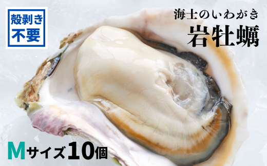【殻剥き不要】海士のいわがき 殻なしタイプ Mサイズ×10個（1.6kg〜2.2kg）