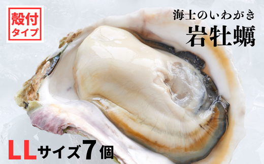 【海士のいわがき】海士町産 いわがき 岩牡蠣 LLサイズ 7個 殻付き 新鮮クリーミーな高級岩牡蠣 冷凍 生食 牡蠣ナイフ 説明書付き 2.8kg〜3.5kg