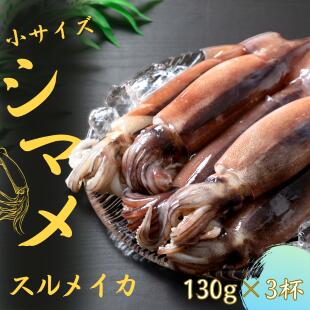 【朝どれシマメ 小サイズ丸ごと3杯セット】130g×3杯 いか イカ スルメイカ