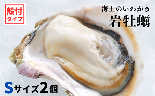 【海士のいわがき】海士町産 いわがき 岩牡蠣 Sサイズ 2個 殻付き 新鮮クリーミーな高級岩牡蠣 冷凍 生食 牡蠣ナイフ 説明書付き 340g〜470g
