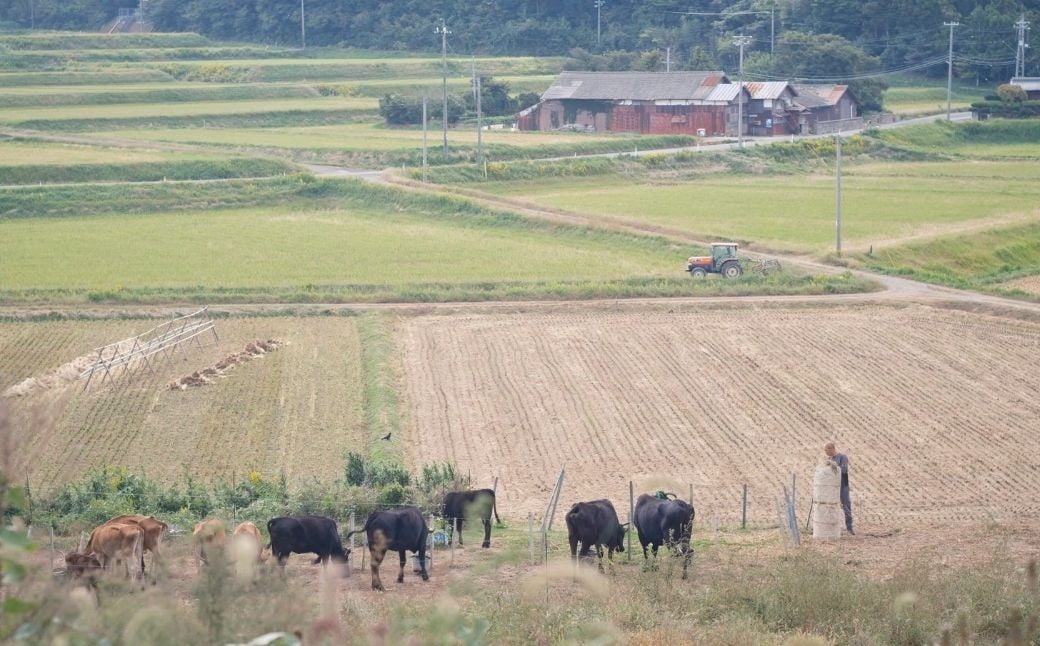 まきはた牛乳工房 牛乳 (900ml) 【牛乳 ノンホモ牛乳 海士町】