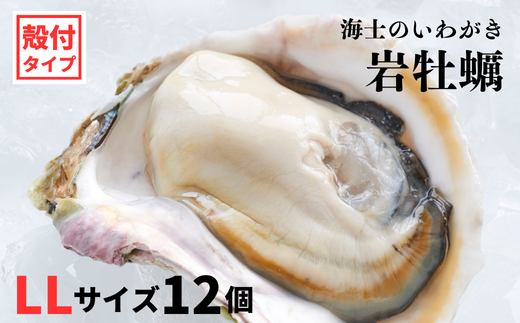 【海士のいわがき】海士町産 いわがき 岩牡蠣 LLサイズ 12個 殻付き 新鮮クリーミーな高級岩牡蠣 冷凍 生食 牡蠣ナイフ 説明書付き 4.8kg〜6kg