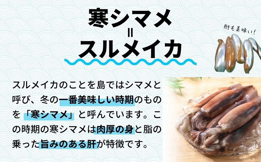 今が旬！朝どれ寒シマメ特大サイズ（350-400g）丸ごと3杯セット 1kg〜1.2kg