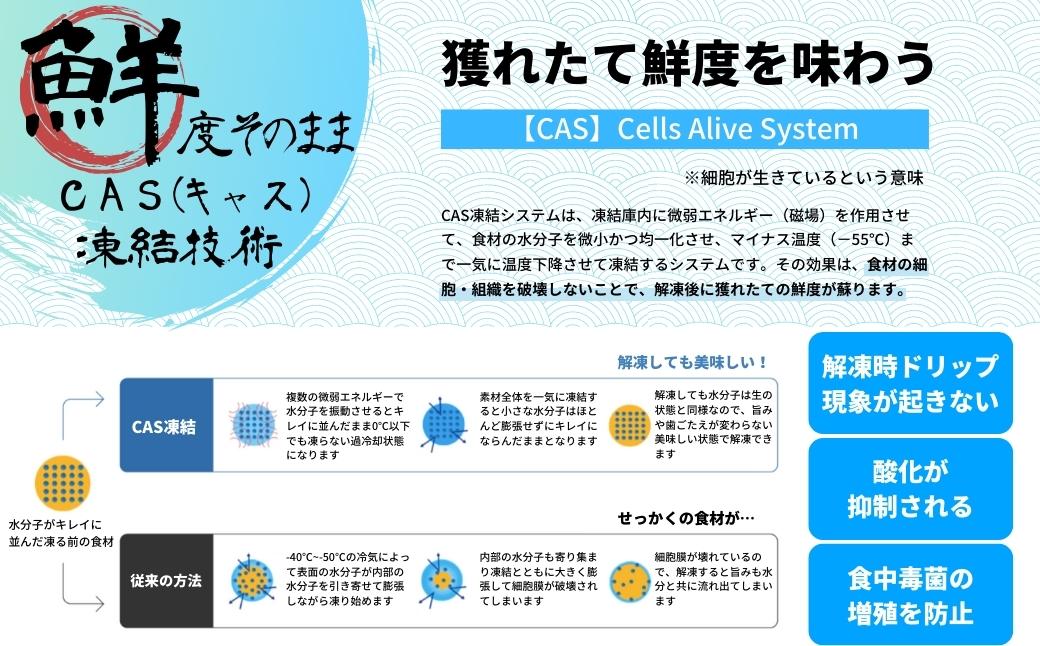 【殻剥き不要】ブランド岩牡蠣「春香」殻なし巨大3Lサイズ×5個（1.6kg〜2kg）