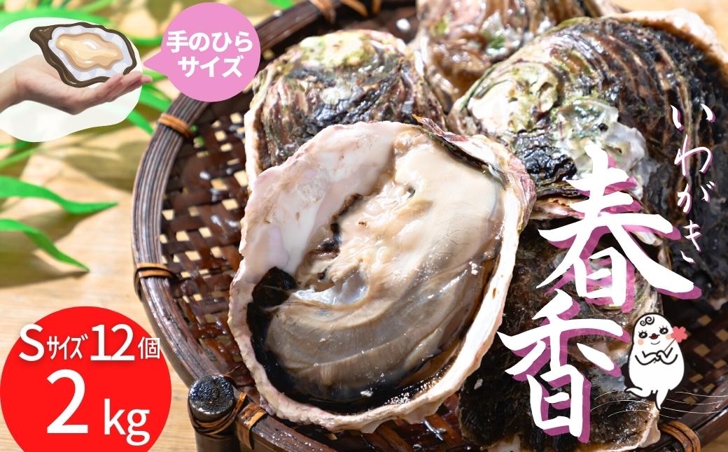 【海士のいわがき】海士町産 いわがき 岩牡蠣 Sサイズ 12個 殻付き 新鮮クリーミーな高級岩牡蠣 冷凍 生食 牡蠣ナイフ 説明書付き 2.04kg〜2.82kg
