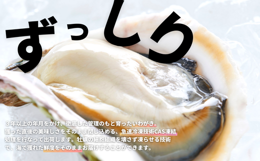 【海士のいわがき】海士町産 いわがき 岩牡蠣 LLサイズ 6個 殻付き 新鮮クリーミーな高級岩牡蠣 冷凍 生食 牡蠣ナイフ 説明書付き 2.4kg〜3kg
