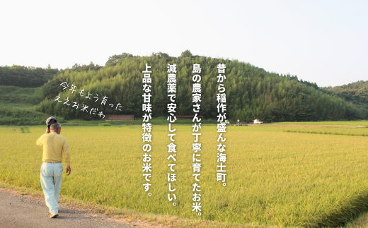 先行予約受付【令和7年度産 海士町産コシヒカリ5kg】島のコシヒカリをお届け！ お米 新米 精米 弁当 ごはん ご飯 こしひかり ギフト