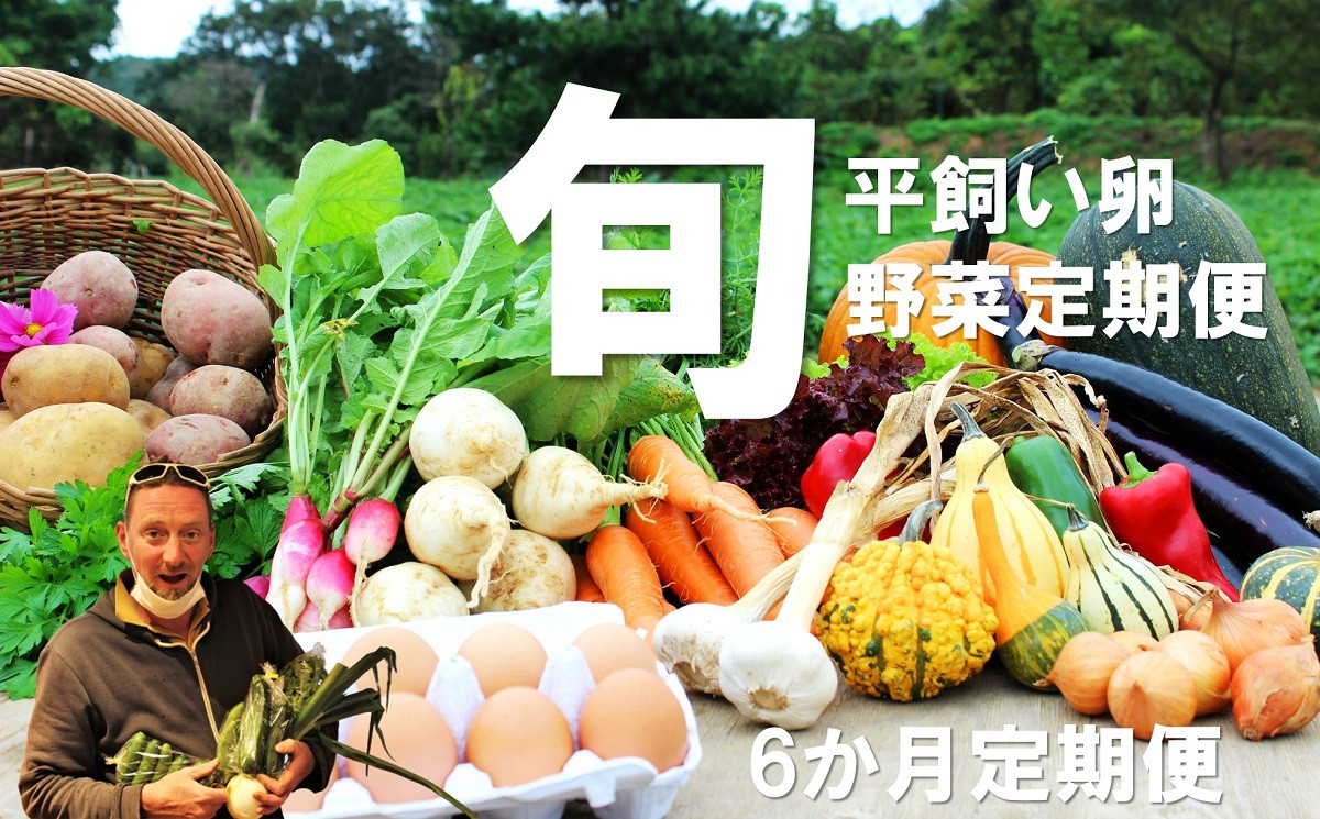 【定期便】旬のお野菜定期便（6か月）