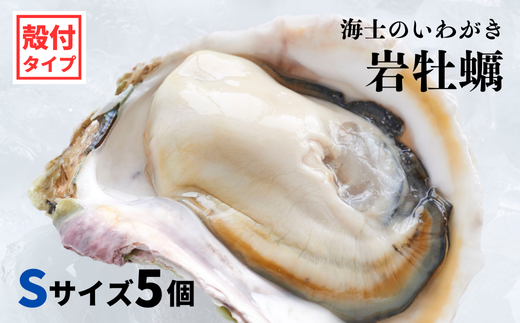 【海士のいわがき】海士町産 いわがき 岩牡蠣 Sサイズ 5個 殻付き 新鮮クリーミーな高級岩牡蠣 冷凍 生食 牡蠣ナイフ 説明書付き 850g〜1.175kg