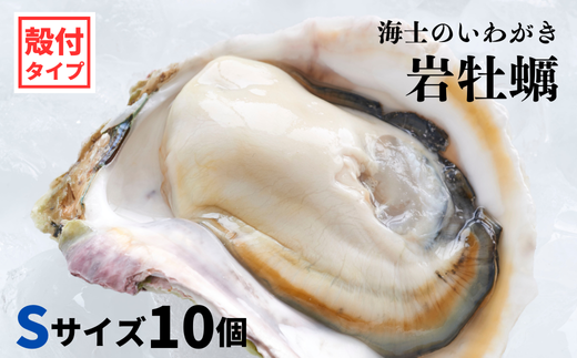 【海士のいわがき】海士町産 いわがき 岩牡蠣 Sサイズ 10個 殻付き 新鮮クリーミーな高級岩牡蠣 冷凍 生食 牡蠣ナイフ 説明書付き 1.7kg〜2.35kg