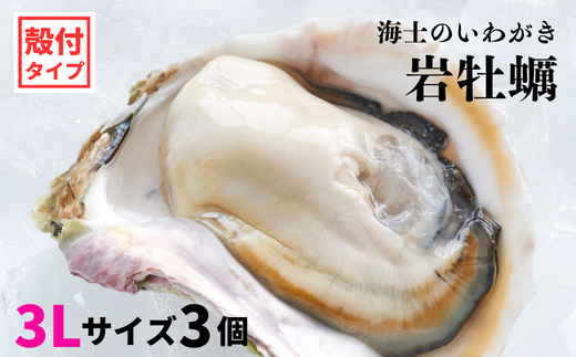 【殻剥き不要】海士のいわがき 殻なし巨大3Lサイズ×3個（960g〜1.2kg）
