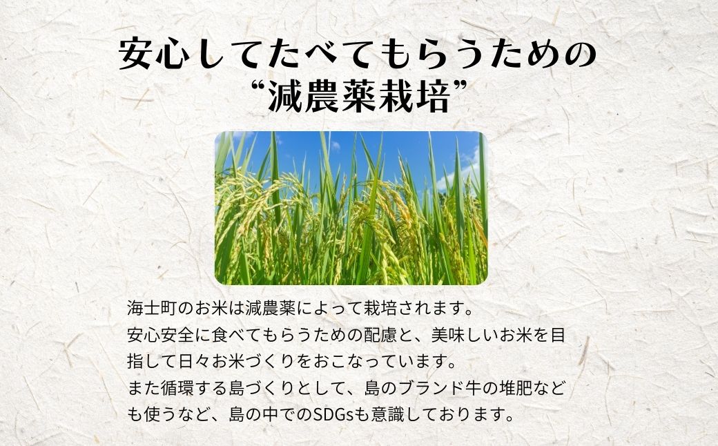 蜈郁。御コ育エ蜿嶺サ倥蝉サ、蜥7蟷エ蠎ヲ逕」! 豬キ螢ォ逕コ逕」繧ウ繧キ繝偵き繝ェ10kg縲大ウカ縺ョ繧ウ繧キ繝偵き繝ェ繧偵♀螻翫¢シ 縺顔アウ 譁ー邀ウ 邊セ邀ウ 蠑∝ス 縺斐ッ繧 縺秘」ッ 縺薙@縺イ縺九j 繧ョ繝輔ヨ