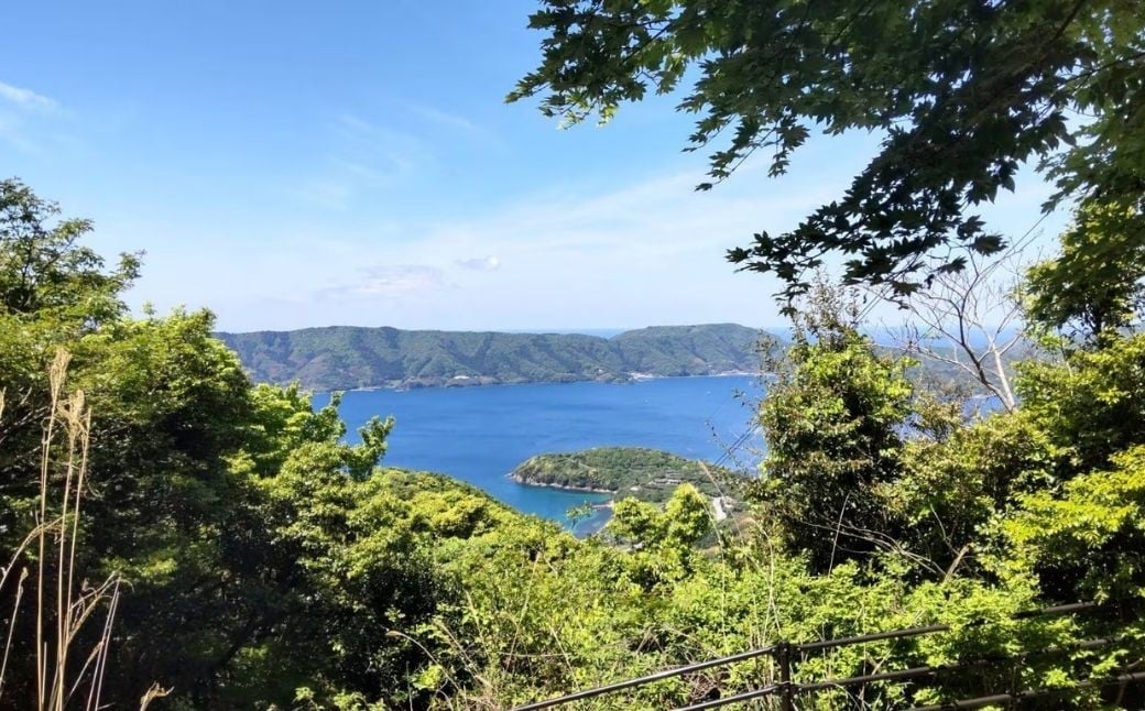 まきはた牛乳工房 牛乳 (900ml×2本セット) 【牛乳 ノンホモ牛乳 海士町】