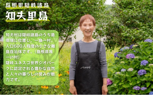 【ちぶり島さざえコロッケ&めかぶコロッケ(6個入り×2袋)】めかぶ サザエ コロッケ ごほうび ごちそう 美味しい パーティー おもてなし 人気 簡単 時短 タイムパフォーマンス 小分け 冷凍 隠岐 知夫里島