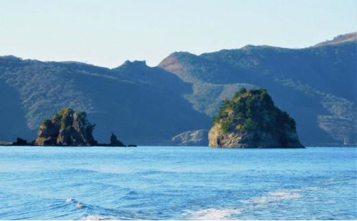 【隠岐世界ユネスコジオパーク】赤壁遊覧船ガイドツアー｜体験1回｜2名様分 せきへき レッドクリフ 旅行 観光 50分 貴重 知夫里島 海 離島