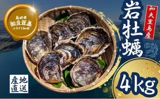 【知夫里島産 岩牡蠣 4kg】ブランド 岩牡蠣 生食可 牡蛎 牡蠣 かき カキ 岩牡蠣 いわがき 海鮮 海産物 海の幸 シーフード 魚貝類 父の日 母の日 バーベキュー ギフト 濃厚 クリーミー