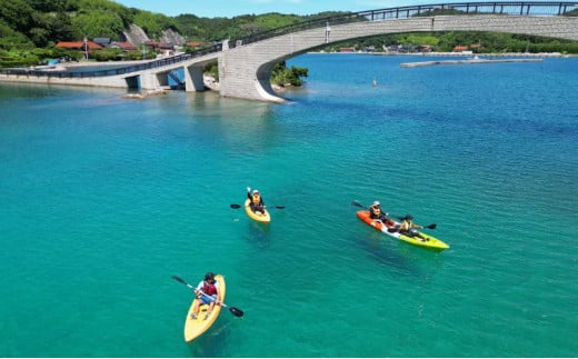 【隠岐ユネスコ世界ジオパーク】島津島シーカヤックツアー｜体験1回｜2名様分 観光 旅行 絶景 透明 自然 海 知夫里島 離島 カヤック ガイド付