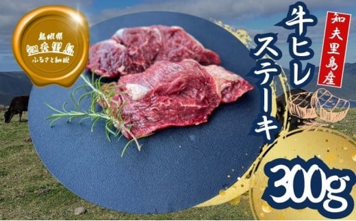 【TBS 「熱狂マニアさん！」で紹介】 経産牛ヒレステーキ３００g 牛肉 経産牛 放牧 牛ヒレステーキ用 肉 冷凍 ステーキ 赤身 