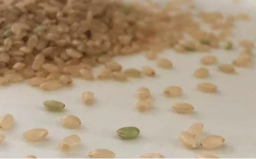 【島とうふどーなつ＆玄米ほろほろ】知夫里島の小さなお菓子屋さん手作り『島とうふどーなつ＆玄米ほろほろ』 スイーツ お菓子 デザート 焼き菓子 洋菓子 美味しい 差し入れ 手土産 お取り寄せ 隠岐