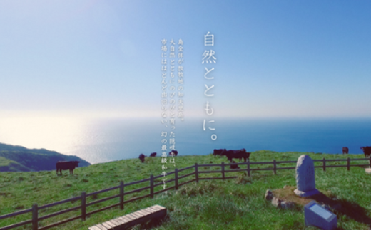 【隠岐牛プレミアム生ハンバーグ 4個】600g 天然塩付 島生まれ島育ちのブランド黒毛和牛 隠岐牛 黒毛和牛 ハンバーグ 牛肉 肉 ブランド牛 母の日 父の日 バーベキュー ギフト 冷凍 個包装