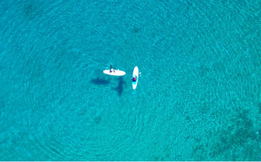 【隠岐ユネスコ世界ジオパーク】島津島SUP体験ツアー｜体験1回｜2名様分 観光 旅行 絶景 透明 自然 海 知夫里島 離島 牛 ガイド付