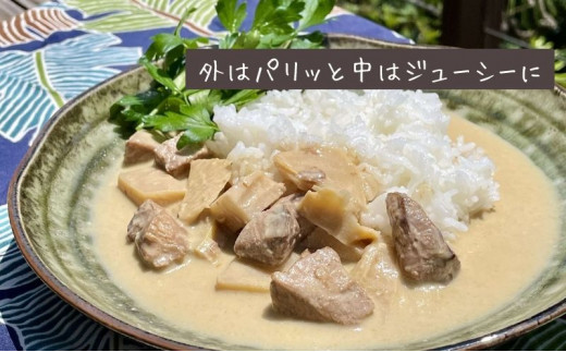 【漁師直送】知夫里島オリジナル鰤カレーセット 3食パック ココナッツ風味 隠岐 知夫里島 本格カレー グリーンカレー ぶり ブリ レトルト