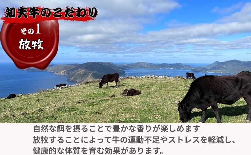 【TBS 「熱狂マニアさん！」で紹介】 経産牛ヒレステーキ３００g 牛肉 経産牛 放牧 牛ヒレステーキ用 肉 冷凍 ステーキ 赤身 