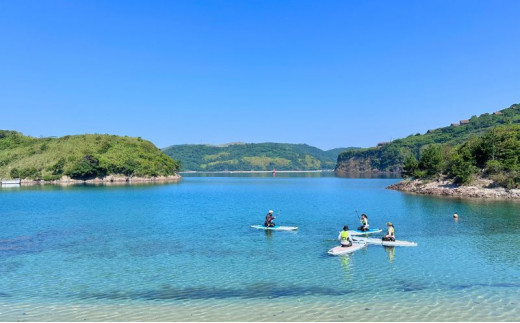 【隠岐ユネスコ世界ジオパーク】島津島SUP体験ツアー｜体験1回｜2名様分 観光 旅行 絶景 透明 自然 海 知夫里島 離島 牛 ガイド付