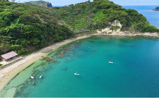 【隠岐ユネスコ世界ジオパーク】島津島SUP体験ツアー｜体験1回｜2名様分 観光 旅行 絶景 透明 自然 海 知夫里島 離島 牛 ガイド付