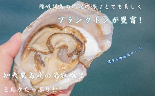 【知夫里島産 岩牡蠣 4kg】ブランド 岩牡蠣 生食可 牡蛎 牡蠣 かき カキ 岩牡蠣 いわがき 海鮮 海産物 海の幸 シーフード 魚貝類 父の日 母の日 バーベキュー ギフト 濃厚 クリーミー