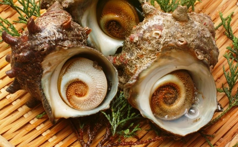 縲千衍螟ォ驥悟ウカ逕」縲代し繧カ繧ィ驢、豐ケ(100mlテ3譛ャ)