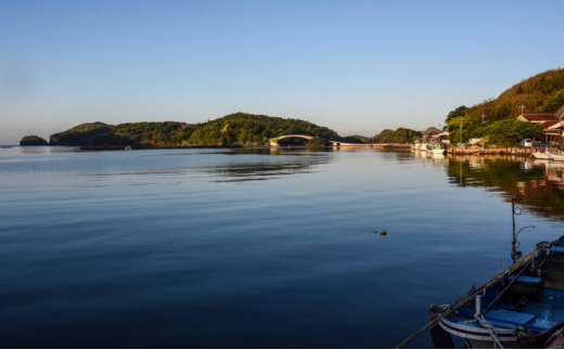 【隠岐郡知夫村 民泊「小新家本店＞】宿泊補助券10,000円分 【島根県 隠岐郡 知夫村 知夫里島 離島 民泊 旅行 旅行クーポン 商品券 補助券 贅沢 くつろぎ ゆとり リラクゼーション カップル ペア 夫婦 家族 宿泊】
