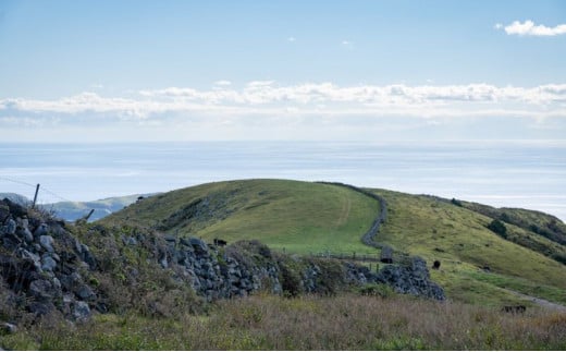 【隠岐世界ユネスコジオパーク】ガイド付き知夫里島ジオツアー（E-bike） ｜体験1回｜2名様分 観光 旅行 絶景 自然 赤壁 赤ハゲ山 海 知夫里島 離島 牛 たぬき