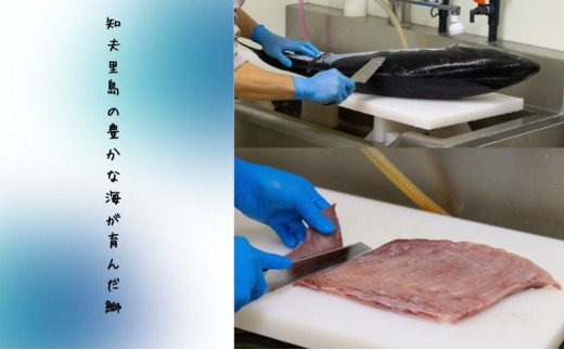 【漁師直送】知夫里島オリジナル鰤カレーセット 3食パック ココナッツ風味 隠岐 知夫里島 本格カレー グリーンカレー ぶり ブリ レトルト