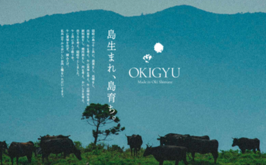 縲宣國蟯千央 荳顔┥閧臥屁蜷医○400g縲大ウカ逕溘∪繧悟ウカ閧イ縺。縺ョ繝悶Λ繝ウ繝蛾サ呈ッ帛柱迚 鮟呈ッ帛柱迚 迚幄i 閧 繝悶Λ繝ウ繝臥央 辟シ閧 荳願オ、霄ォ 豈阪ョ譌・ 辷カ縺ョ譌・ 繝舌シ繝吶く繝・繝シ 繧ョ繝輔ヨ 蜀キ蜃