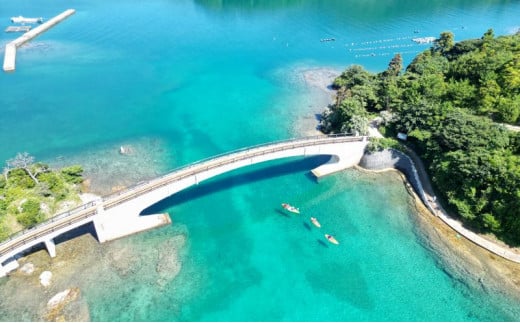 【隠岐ユネスコ世界ジオパーク】島津島シーカヤックツアー｜体験1回｜2名様分 観光 旅行 絶景 透明 自然 海 知夫里島 離島 カヤック ガイド付