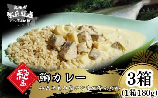 【漁師直送】知夫里島オリジナル鰤カレーセット 3食パック ココナッツ風味 隠岐 知夫里島 本格カレー グリーンカレー ぶり ブリ レトルト