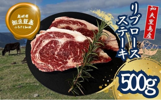 【TBS 「熱狂マニアさん！」で紹介】 経産牛リブロースステーキ５００ｇ　ステーキ 牛肉 経産牛 放牧 黒毛和牛 国産 リブロース 赤身 冷凍