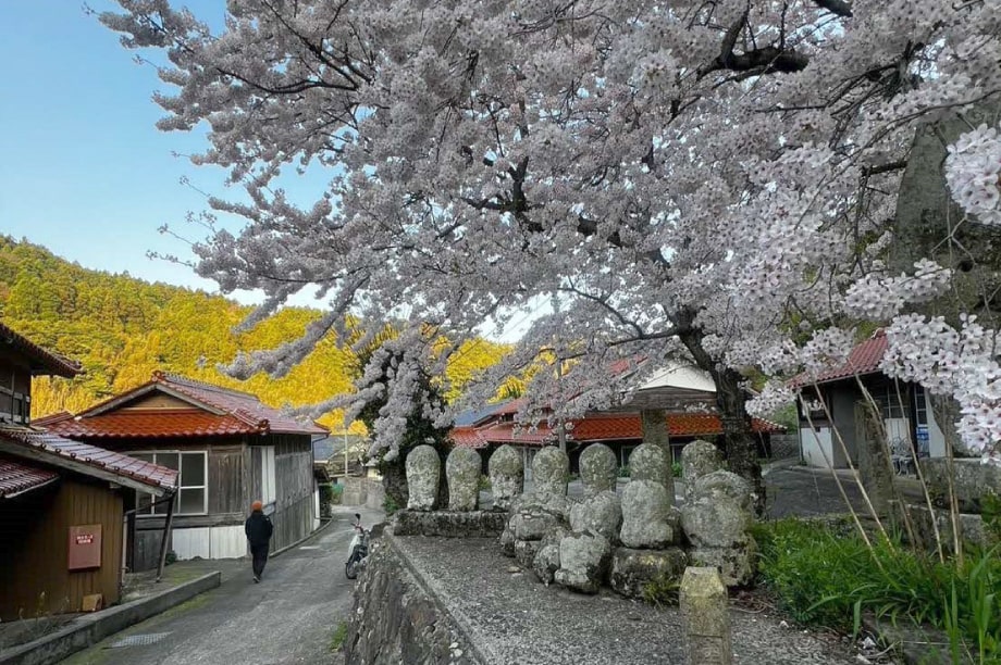 安心して老後をふるさとで暮らせる環境整備に関する事業