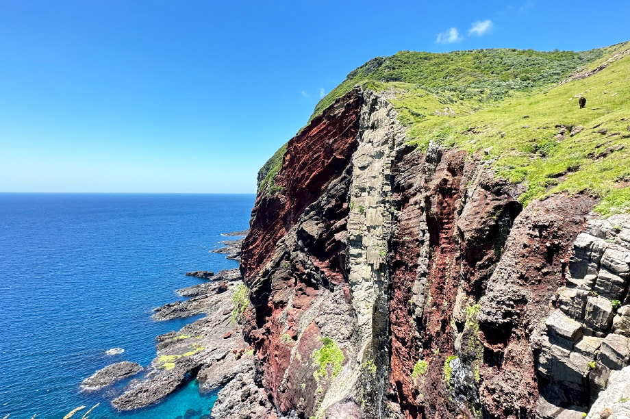 環境の保全・再生に関する事業