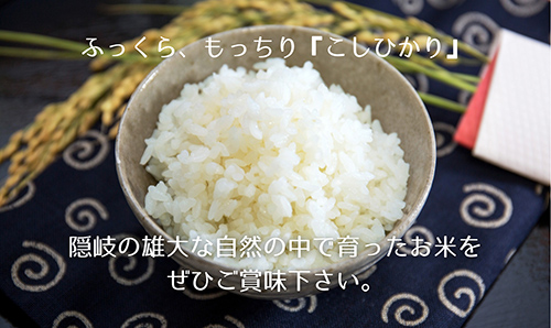 【令和7年産】隠岐産こしひかり10Kg（5Kｇ×2袋） 