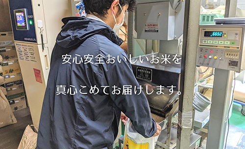 【令和7年産】隠岐産こしひかり玄米10Kg（5Kｇ×2袋） 