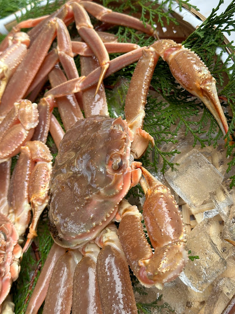 【木村鮮魚店提供】　隠岐松葉ガニ特番サイズ（活）　１枚