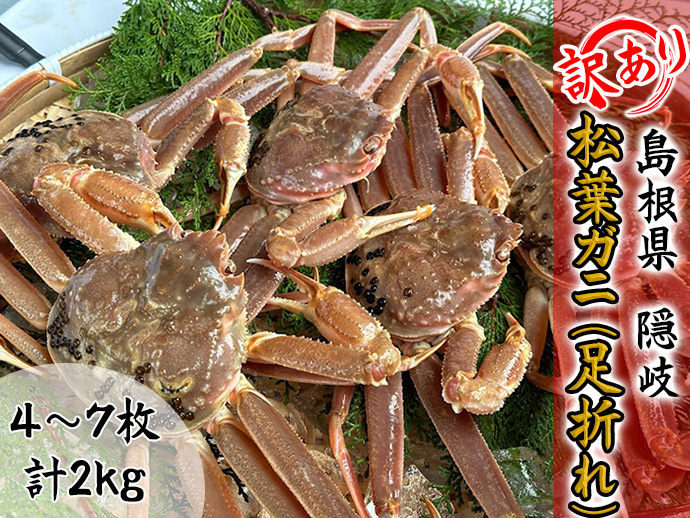 【木村鮮魚店提供】　【訳アリ】隠岐松葉ガニ（足折れ）２㎏