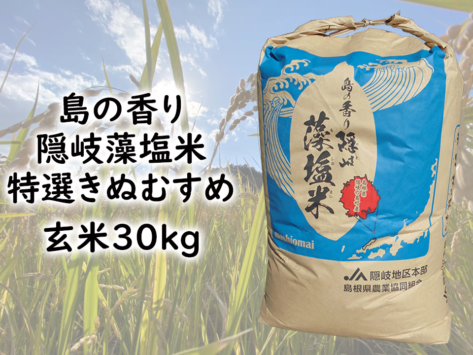 【令和5年産】島の香り　隠岐藻塩米特選きぬむすめ玄米まるごと30kg